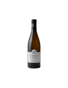 Bourgogne Coulanges-la-Vineuse Cuvée Sélection Blanc 2023 - Domaine Bon et Fils