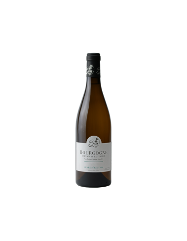 Bourgogne Coulanges-la-Vineuse Cuvée Sélection Blanc 2023 - Domaine Bon et Fils